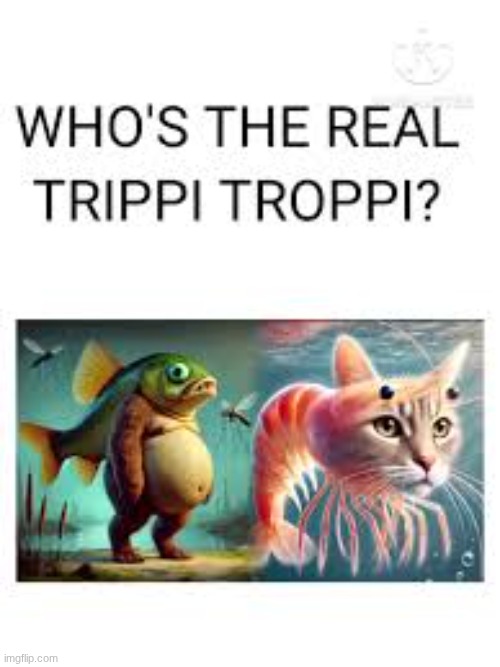 which trippi is the real troppi? | image tagged in brainrot | made w/ Imgflip meme maker