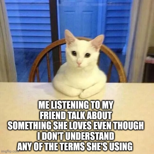 Cat At Table Listening | ME LISTENING TO MY FRIEND TALK ABOUT SOMETHING SHE LOVES EVEN THOUGH I DON'T UNDERSTAND ANY OF THE TERMS SHE'S USING | image tagged in cat at table listening | made w/ Imgflip meme maker