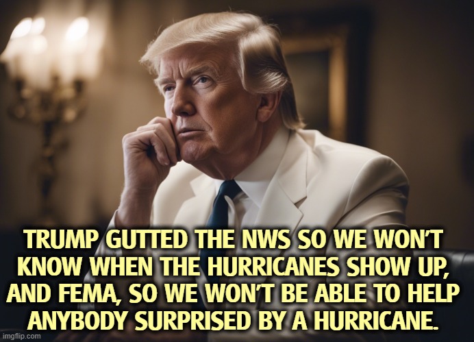 TRUMP GUTTED THE NWS SO WE WON'T 
KNOW WHEN THE HURRICANES SHOW UP, 

AND FEMA, SO WE WON'T BE ABLE TO HELP 
ANYBODY SURPRISED BY A HURRICANE. | image tagged in trump,elon musk,doge,noaa,fema,tax cuts for the rich | made w/ Imgflip meme maker