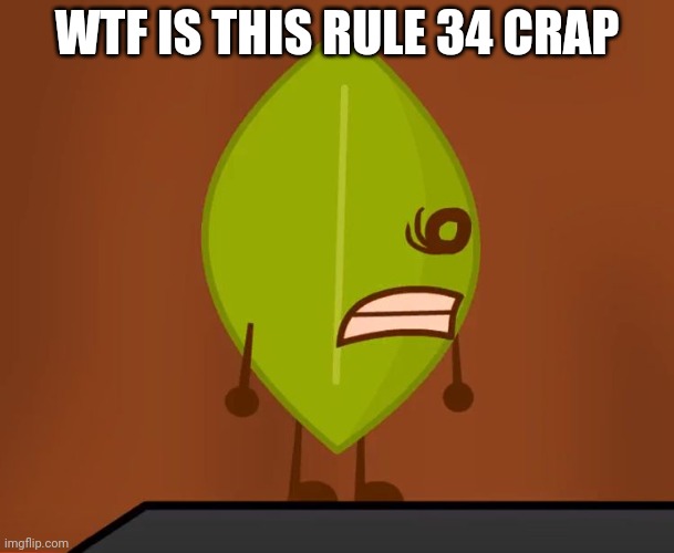 BFDI "Wat" Face | WTF IS THIS RULE 34 CRAP | image tagged in bfdi wat face | made w/ Imgflip meme maker