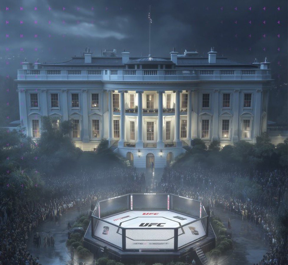 White House UFC Blank Meme Template