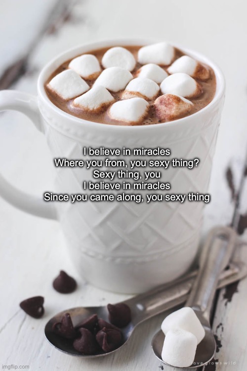 Miracles | I believe in miracles
Where you from, you sexy thing?
Sexy thing, you
I believe in miracles
Since you came along, you sexy thing | image tagged in hot chocolate,miracles,sexy | made w/ Imgflip meme maker