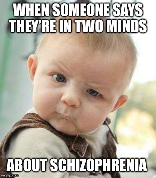Hmmmmm | WHEN SOMEONE SAYS THEY’RE IN TWO MINDS; ABOUT SCHIZOPHRENIA | image tagged in fun | made w/ Imgflip meme maker
