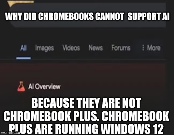 Google AI | WHY DID CHROMEBOOKS CANNOT  SUPPORT AI; BECAUSE THEY ARE NOT CHROMEBOOK PLUS. CHROMEBOOK PLUS ARE RUNNING WINDOWS 12 | image tagged in google ai,chromebook,google chrome,google v bing | made w/ Imgflip meme maker
