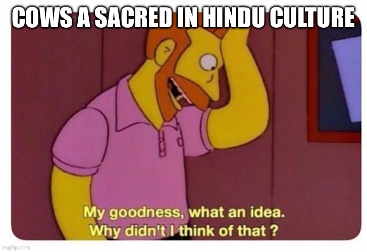 Why Didnt I Think Of That? | COWS A SACRED IN HINDU CULTURE | image tagged in why didnt i think of that | made w/ Imgflip meme maker