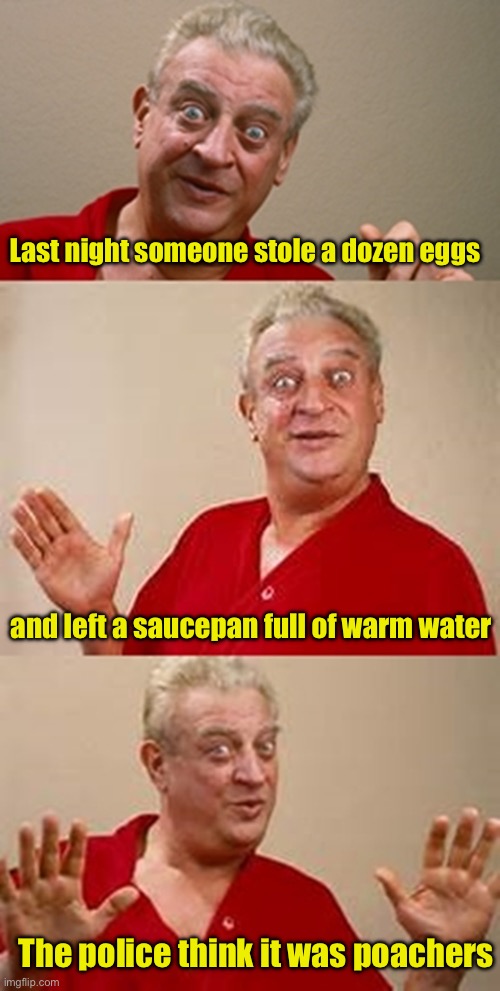 Poached eggs | Last night someone stole a dozen eggs; and left a saucepan full of warm water; The police think it was poachers | image tagged in bad pun dangerfield | made w/ Imgflip meme maker