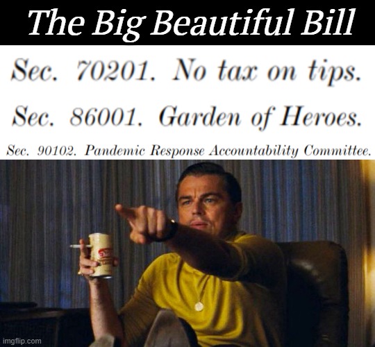 Highlights for those Who Didn't Get to Read it Yet | The Big Beautiful Bill | image tagged in leo pointing | made w/ Imgflip meme maker