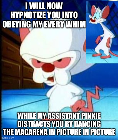 You work with what you have | I WILL NOW HYPNOTIZE YOU INTO OBEYING MY EVERY WHIM; WHILE MY ASSISTANT PINKIE DISTRACTS YOU BY DANCING THE MACARENA IN PICTURE IN PICTURE | image tagged in pinkie and the brain,try to take over the world,thirst trap,goon corner | made w/ Imgflip meme maker