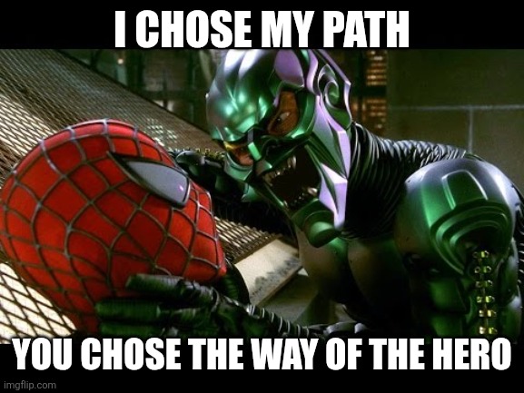Spiderman and Green Goblin | I CHOSE MY PATH YOU CHOSE THE WAY OF THE HERO | image tagged in spiderman and green goblin | made w/ Imgflip meme maker