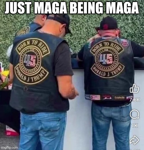 Just being maga | JUST MAGA BEING MAGA | image tagged in donald trump,trump,trump supporter,nevertrump,conservative,nevertrump meme | made w/ Imgflip meme maker