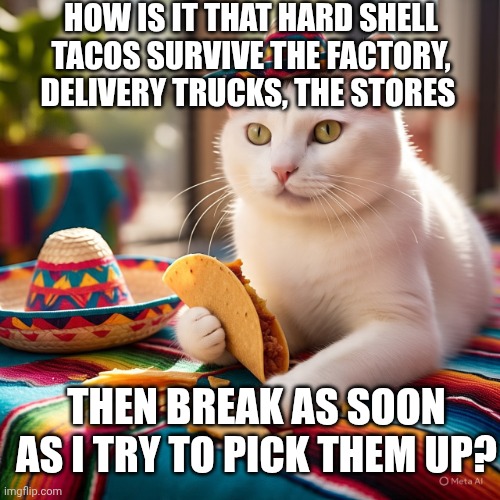 HOW IS IT THAT HARD SHELL TACOS SURVIVE THE FACTORY, DELIVERY TRUCKS, THE STORES; THEN BREAK AS SOON AS I TRY TO PICK THEM UP? | image tagged in smudge that darn cat | made w/ Imgflip meme maker