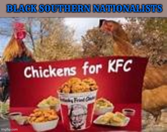 Chickens for KFC | BLACK SOUTHERN NATIONALISTS | image tagged in chickens for kfc,confederate,confederacy,black people | made w/ Imgflip meme maker