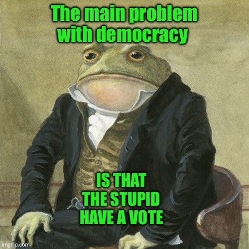Gentlemen, it is with great pleasure to inform you that | The main problem with democracy; IS THAT THE STUPID HAVE A VOTE | image tagged in gentlemen it is with great pleasure to inform you that | made w/ Imgflip meme maker