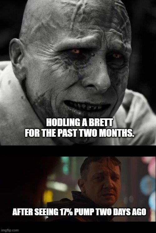 HODLING A BRETT
FOR THE PAST TWO MONTHS. AFTER SEEING 17% PUMP TWO DAYS AGO | image tagged in gorr thor,dont give me hope blank | made w/ Imgflip meme maker