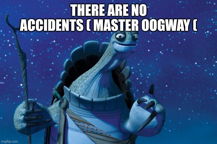 Master Oogway | THERE ARE NO ACCIDENTS ( MASTER OOGWAY ( | image tagged in master oogway | made w/ Imgflip meme maker