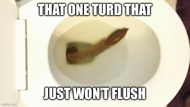 Turd | THAT ONE TURD THAT JUST WON’T FLUSH | image tagged in turd | made w/ Imgflip meme maker