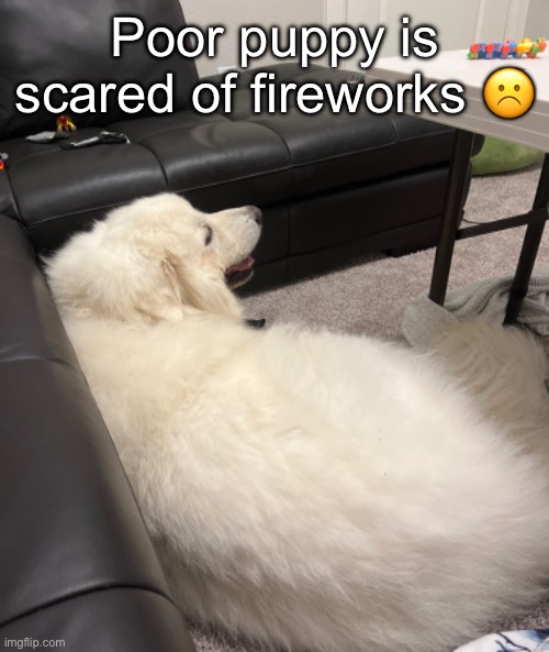 No freedom for her | Poor puppy is scared of fireworks ☹️ | made w/ Imgflip meme maker