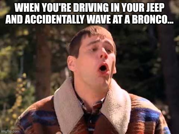 Oops, Not Jeep | WHEN YOU'RE DRIVING IN YOUR JEEP AND ACCIDENTALLY WAVE AT A BRONCO... | image tagged in dumb and dumber gagging | made w/ Imgflip meme maker