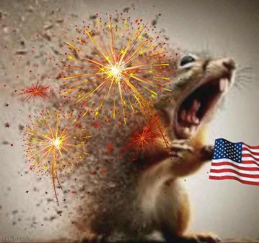 welp happy 4th of july again | made w/ Imgflip meme maker