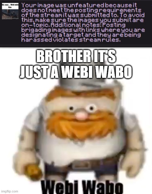 BROTHER IT'S JUST A WEBI WABO | image tagged in webi wabo | made w/ Imgflip meme maker