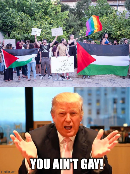 YOU AIN'T GAY | YOU AIN'T GAY! | image tagged in memes,politics,islam,lgbtq,palestine,donald trump | made w/ Imgflip meme maker