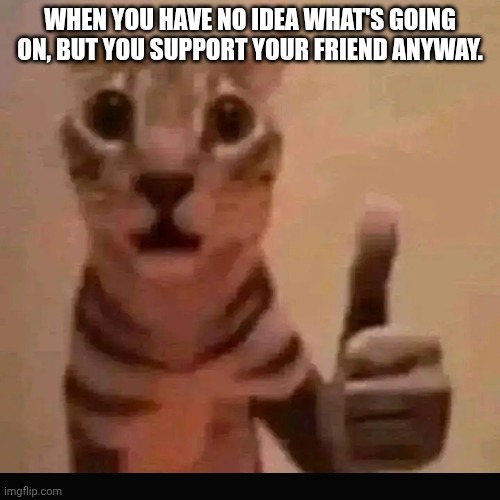 Relatable | WHEN YOU HAVE NO IDEA WHAT'S GOING ON, BUT YOU SUPPORT YOUR FRIEND ANYWAY. | image tagged in cat giving shaky thumbs up | made w/ Imgflip meme maker
