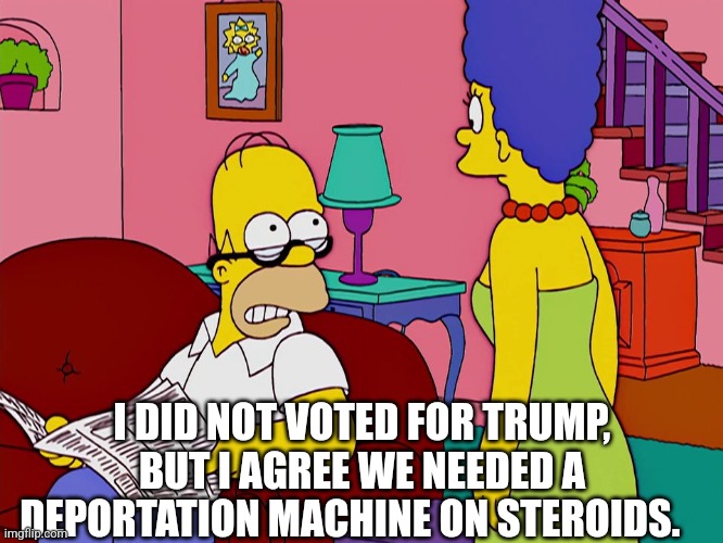 I'm not gonna lie you | I DID NOT VOTED FOR TRUMP, BUT I AGREE WE NEEDED A DEPORTATION MACHINE ON STEROIDS. | image tagged in i'm not gonna lie you | made w/ Imgflip meme maker