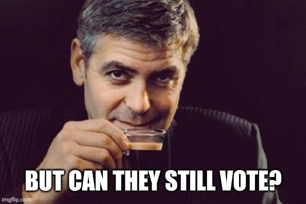 George Clooney what else | BUT CAN THEY STILL VOTE? | image tagged in george clooney what else | made w/ Imgflip meme maker