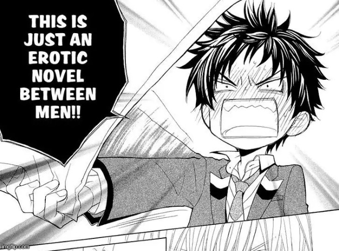 This is just male erotica | image tagged in this is just male erotica | made w/ Imgflip meme maker