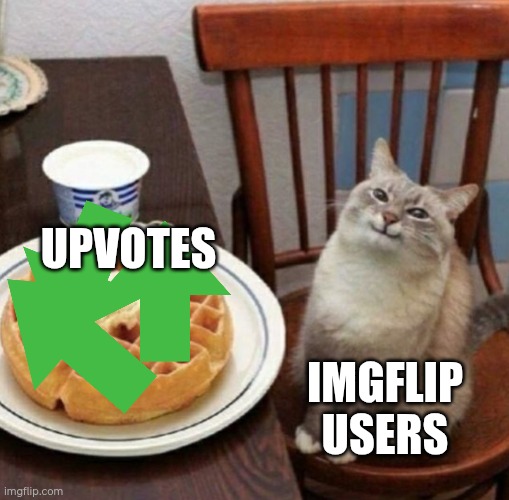 I like my waffle drippy bruh x2 | UPVOTES; IMGFLIP USERS | image tagged in cat likes their waffle | made w/ Imgflip meme maker