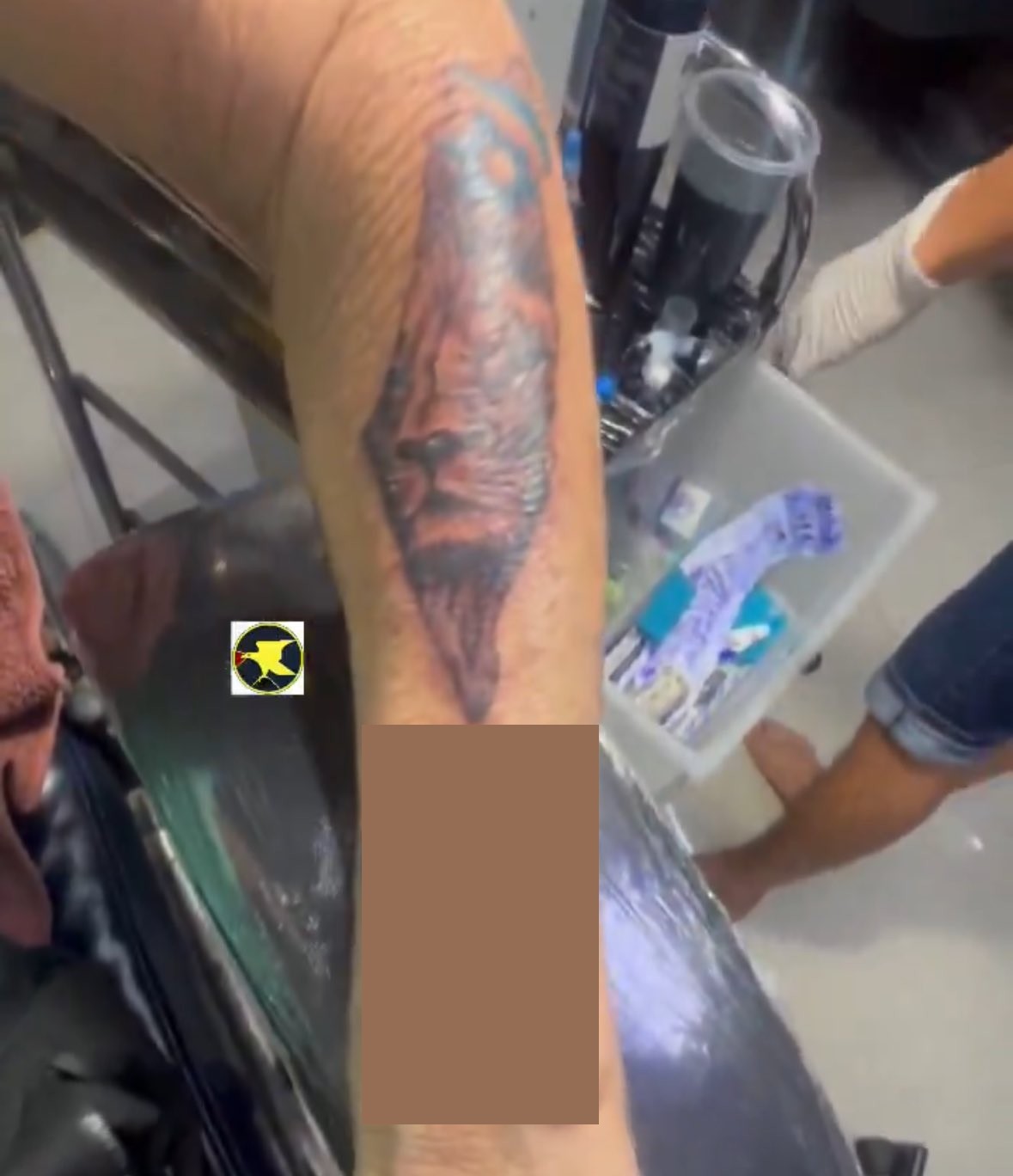 High Quality Israel lion tattoo Blank Meme Template