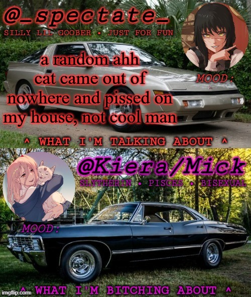 KM Spectate Shared Temp | a random ahh cat came out of nowhere and pissed on my house, not cool man | image tagged in km spectate shared temp,cat | made w/ Imgflip meme maker