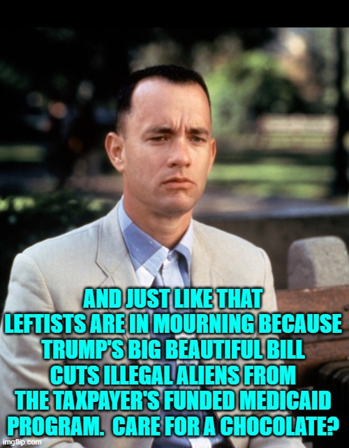 Notice how leftists are NEVER on the side of the taxpayer? | AND JUST LIKE THAT LEFTISTS ARE IN MOURNING BECAUSE TRUMP'S BIG BEAUTIFUL BILL CUTS ILLEGAL ALIENS FROM THE TAXPAYER'S FUNDED MEDICAID PROGRAM.  CARE FOR A CHOCOLATE? | image tagged in and just like that | made w/ Imgflip meme maker