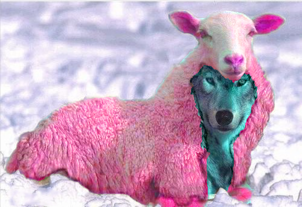 Pink Wolf in Sheep's Clothing Blank Meme Template