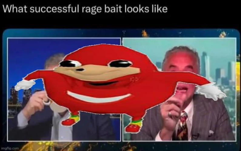 What successful ragebait looks like | image tagged in what successful ragebait looks like | made w/ Imgflip meme maker