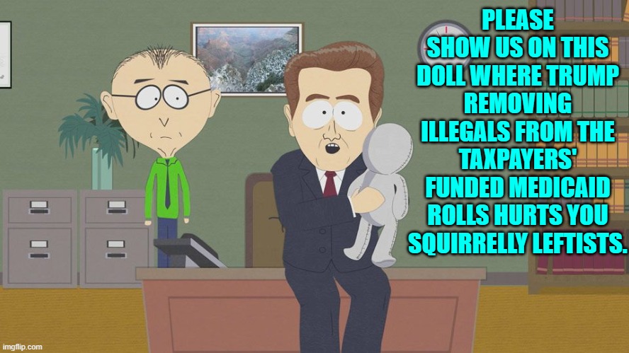 Yeah . . . when was the last time leftists were FOR the taxpayer in regards to anything? | PLEASE SHOW US ON THIS DOLL WHERE TRUMP REMOVING ILLEGALS FROM THE TAXPAYERS' FUNDED MEDICAID ROLLS HURTS YOU SQUIRRELLY LEFTISTS. | image tagged in show us on this doll | made w/ Imgflip meme maker