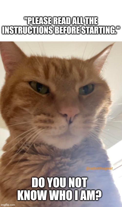Do you not know who I am? | "PLEASE READ ALL THE INSTRUCTIONS BEFORE STARTING."; DO YOU NOT KNOW WHO I AM? @radishthegreat | image tagged in judgemental,judgemental cat,orange cat,instructions | made w/ Imgflip meme maker