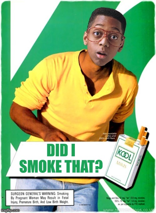 Steven Urkel - Kools Cigarettes | DID I SMOKE THAT? | image tagged in steven urkel - kools cigarettes,steve urkel | made w/ Imgflip meme maker