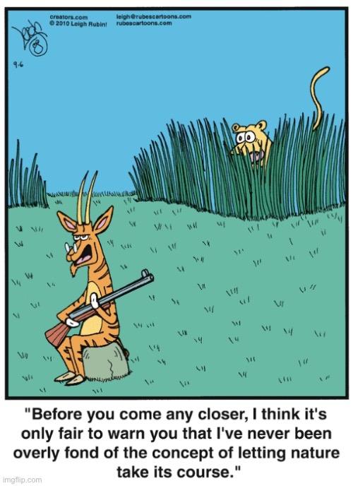 Rubes | image tagged in comics,rubes,lion,antelope,shotgun | made w/ Imgflip meme maker