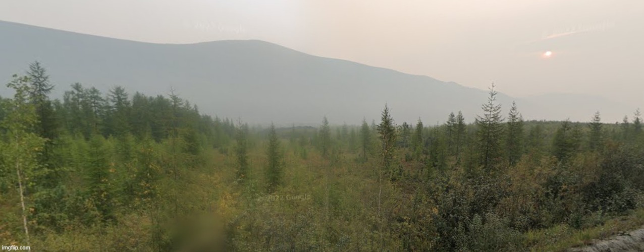 Nice forest | made w/ Imgflip meme maker
