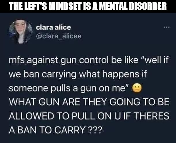 No thinking skills detected. | THE LEFT'S MINDSET IS A MENTAL DISORDER | image tagged in gun control,second amendment,democrats,leftists | made w/ Imgflip meme maker