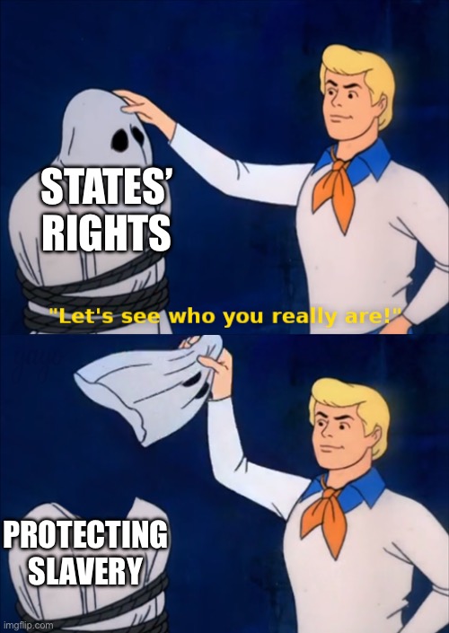 lets see who you really are | STATES’ RIGHTS; PROTECTING SLAVERY | image tagged in lets see who you really are,slavery,confederacy,civil war | made w/ Imgflip meme maker