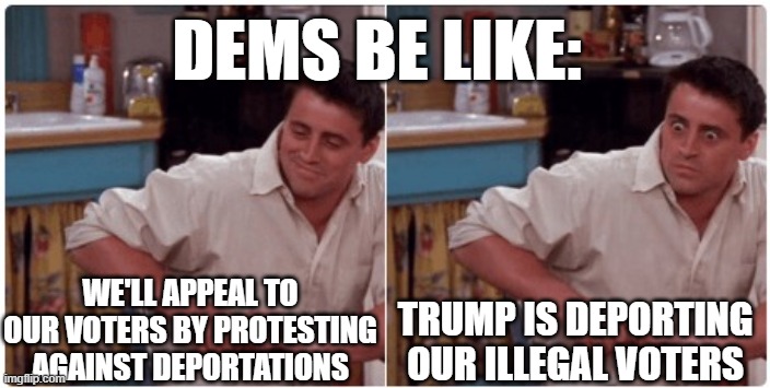 Joey from Friends | WE'LL APPEAL TO OUR VOTERS BY PROTESTING AGAINST DEPORTATIONS TRUMP IS DEPORTING OUR ILLEGAL VOTERS DEMS BE LIKE: | image tagged in joey from friends | made w/ Imgflip meme maker