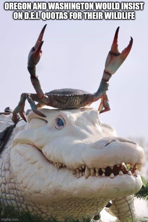 Alligator Crab Template | OREGON AND WASHINGTON WOULD INSIST ON D.E.I. QUOTAS FOR THEIR WILDLIFE | image tagged in alligator crab template | made w/ Imgflip meme maker