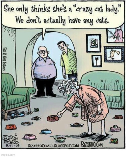 Bizarro Comics | image tagged in comics,bizarro comics,crazy cat lady,wannabe | made w/ Imgflip meme maker