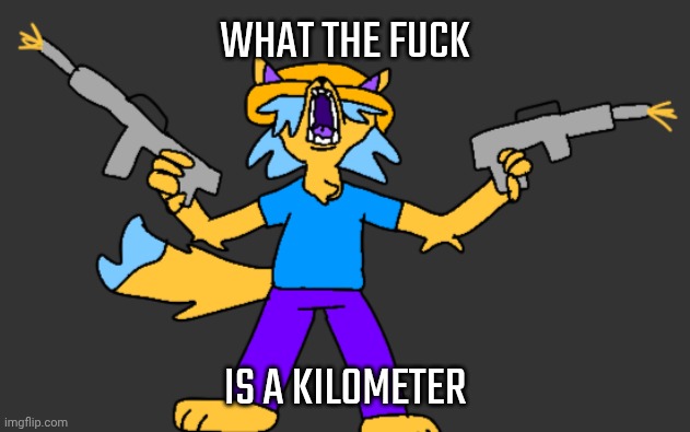WHAT THE FUCK IS A KILOMETER | made w/ Imgflip meme maker