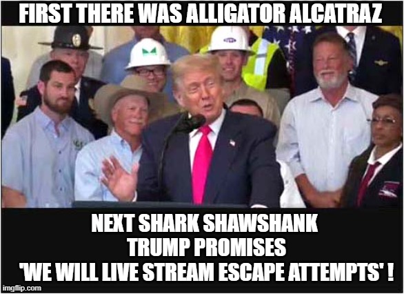 Be Honest ... You Would Tune In ! | FIRST THERE WAS ALLIGATOR ALCATRAZ; NEXT SHARK SHAWSHANK 
TRUMP PROMISES
'WE WILL LIVE STREAM ESCAPE ATTEMPTS' ! | image tagged in trump,alligator,alcatraz,shark,shawshank,politics | made w/ Imgflip meme maker