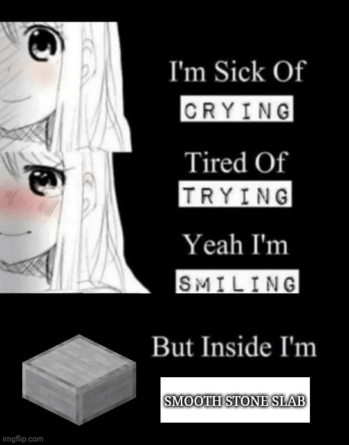 Smooth Stone Slab | SMOOTH STONE SLAB | image tagged in i'm sick of crying | made w/ Imgflip meme maker