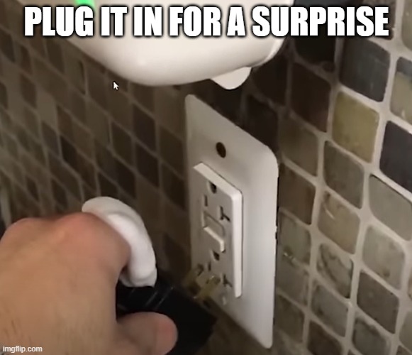 Squirt | PLUG IT IN FOR A SURPRISE | image tagged in you had one job | made w/ Imgflip meme maker