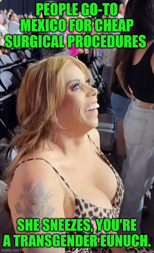 Funny | PEOPLE GO-TO MEXICO FOR CHEAP SURGICAL PROCEDURES; SHE SNEEZES, YOU'RE A TRANSGENDER EUNUCH. | image tagged in funny,surgery,mexico,cheap,transgender,sneeze | made w/ Imgflip meme maker